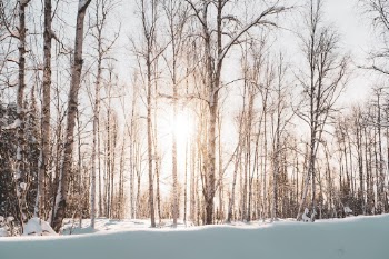 Unsplash ID 6HWE5NDBG7M