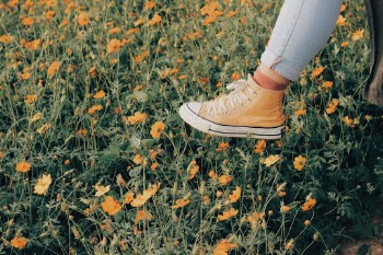 Unsplash ID 6jrY2-_PHg0