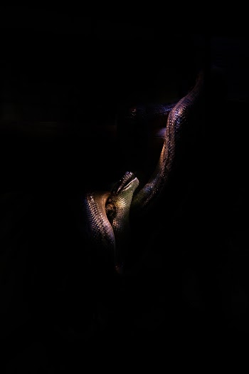 Unsplash ID 6lCZ_V9Dlgo