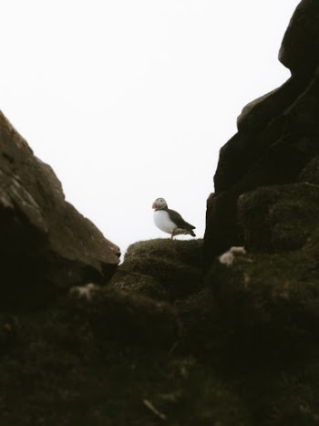 Unsplash ID 6MHBHvc1-_s