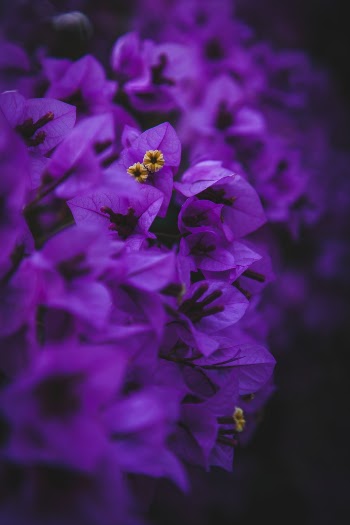 Unsplash ID 6RmFdfU_qms