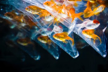 Unsplash ID 6VWXU0srXYc