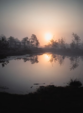 Unsplash ID 6wRSbgxZLE0