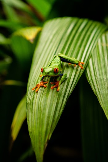 Unsplash ID 7_yA24RSeF4