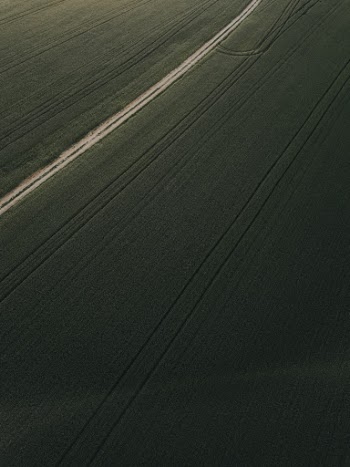 Unsplash ID 71br1qu8DyU