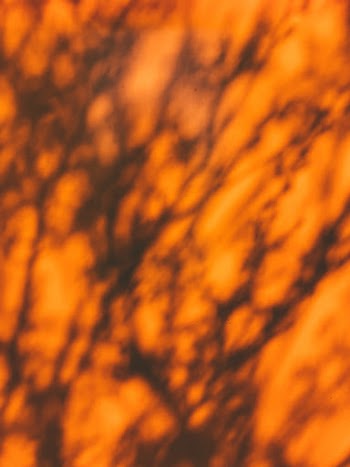 Unsplash ID 74ravqutfqo