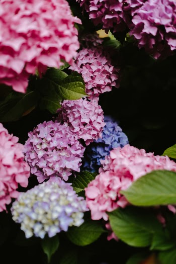Unsplash ID 79lvXpBnvF8