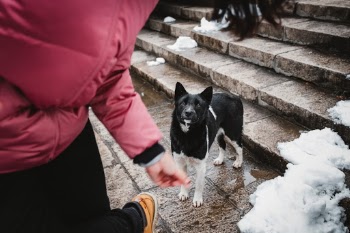 Unsplash ID 79nYkAYF7JI