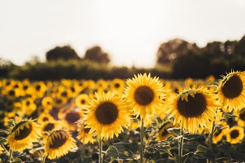 Unsplash ID 79RuacUiXUI