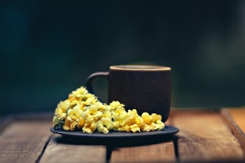 Unsplash ID 79UUzt1qYo0