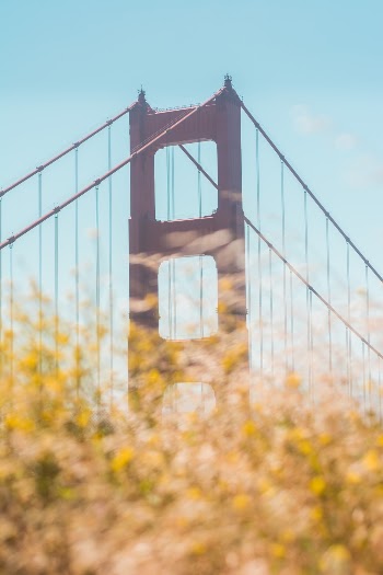Unsplash ID 7A27oAM8SUE