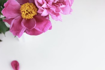 Unsplash ID 7bCaUv-lLFU