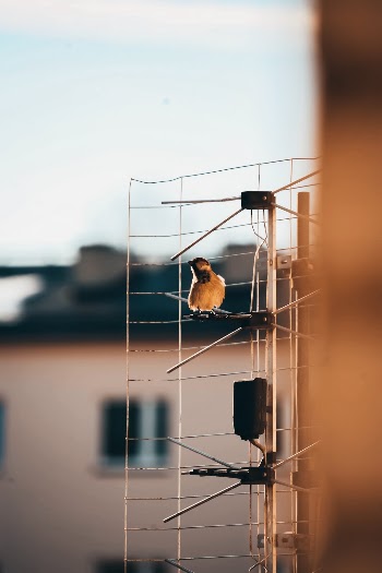 Unsplash ID 7by0hnrUBP8