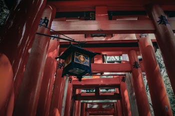 Unsplash ID 7c5FtbXgKjg
