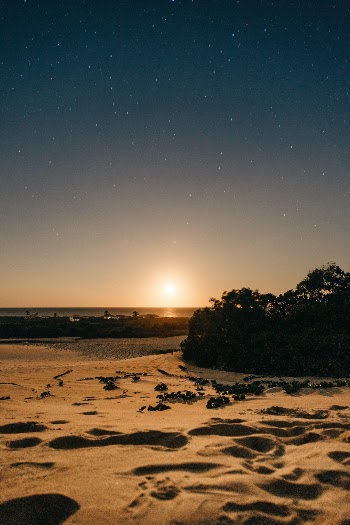 Unsplash ID 7dCaILAayeU