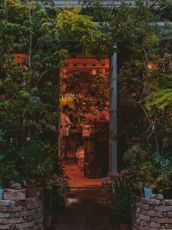Unsplash ID 7DNhTA1vtGo