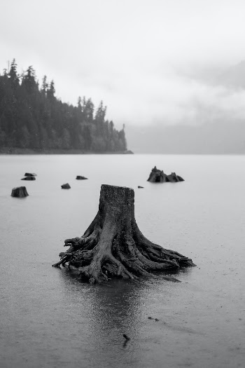 Unsplash ID 7HHMaVFyWpM