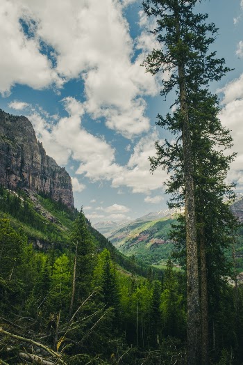 Unsplash ID 7hqyjZXU7IQ