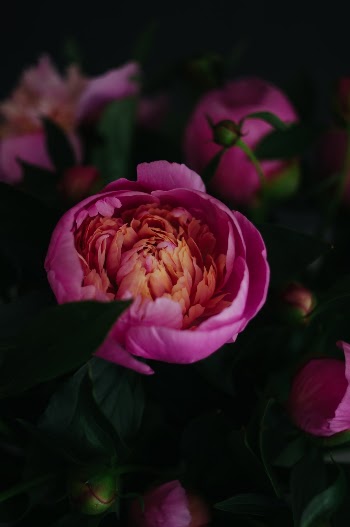 Unsplash ID 7ipfwE3beik