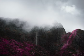 Unsplash ID 7L9a1fmsEpU