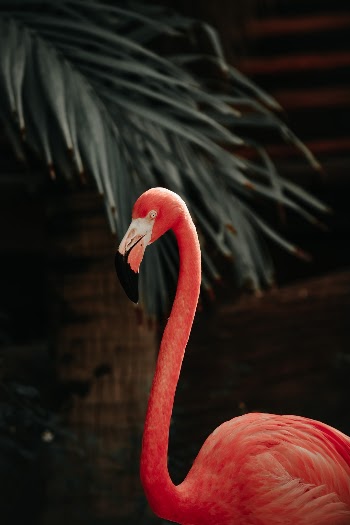 Unsplash ID 7mLqq9Y-Czw