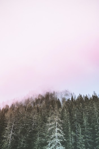 Unsplash ID 7NYGMFXKhlM