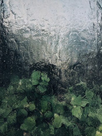 Unsplash ID 7Oji-C0H-YY