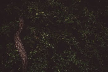 Unsplash ID 7pKG7p7zPwg