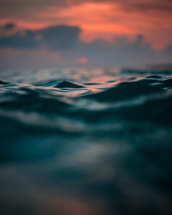 Unsplash ID 7rCCo36BIJM