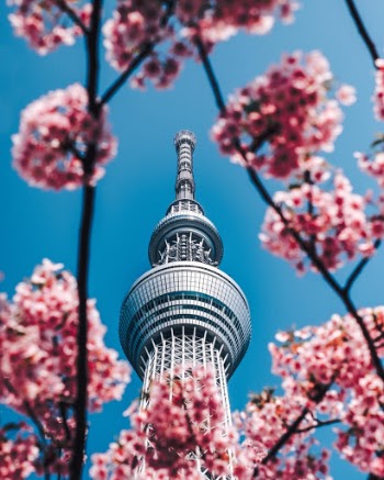 Unsplash ID 7rvQWFxJZKE