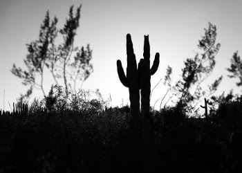 Unsplash ID 7SuqhhM6-9c