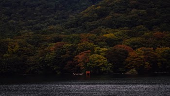 Unsplash ID 7uGM_qvEcUY