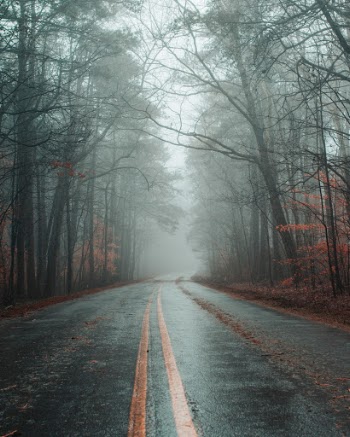 Unsplash ID 7v16pmiKsl4