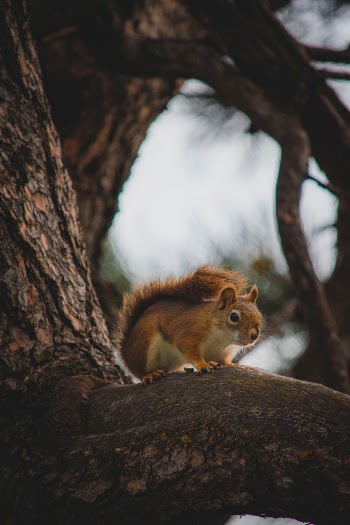 Unsplash ID 7vsLjtKwA-0