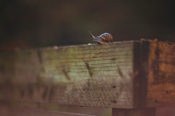 Unsplash ID 7WNCV5TTtzI