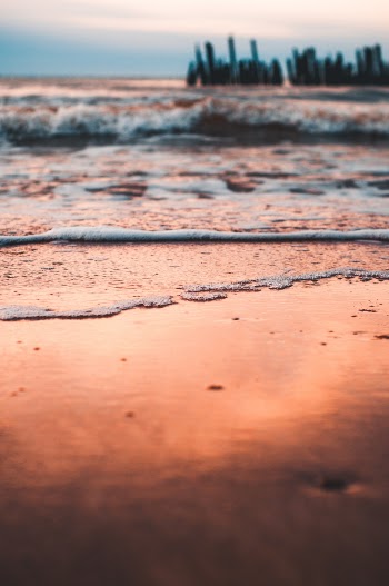 Unsplash ID 7WsOA1rFJ48
