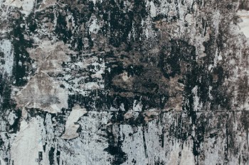 Unsplash ID 7Y_p_gt564Q