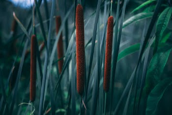 Unsplash ID 8-bZnMIAz-c