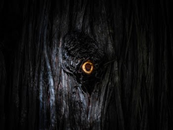 Unsplash ID 8-lHsNDgfP4