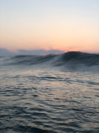 Unsplash ID 81crGnChDkM
