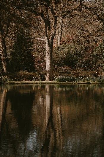 Unsplash ID 81lmyMOgmjU