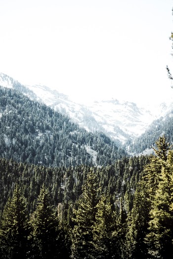 Unsplash ID 849n64P4h2w