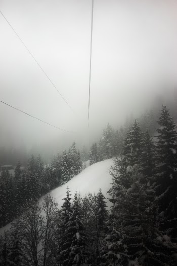 Unsplash ID 84PC_EXlprg