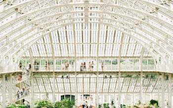 Unsplash ID 891Nq0mG8k8