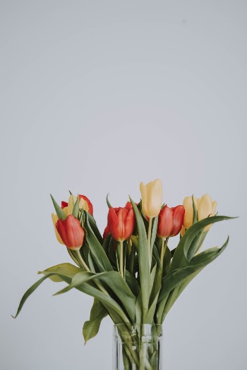 Unsplash ID 8bIsSb0zTSE