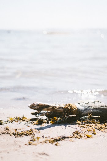 Unsplash ID 8bL4dQOBJ0o