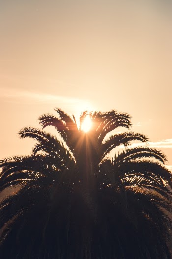 Unsplash ID 8Bl6beMGMOA