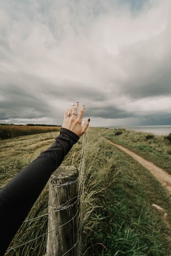 Unsplash ID 8caEQy2h4ys