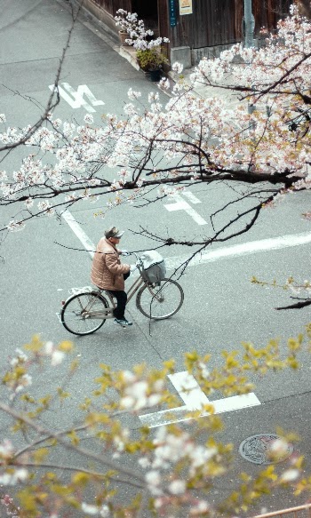 Unsplash ID 8CJ6HSeCWU0