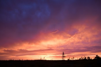Unsplash ID 8Ddfbsq6be0